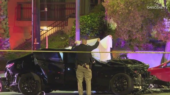 Driver found shot dead at end of high-speed chase