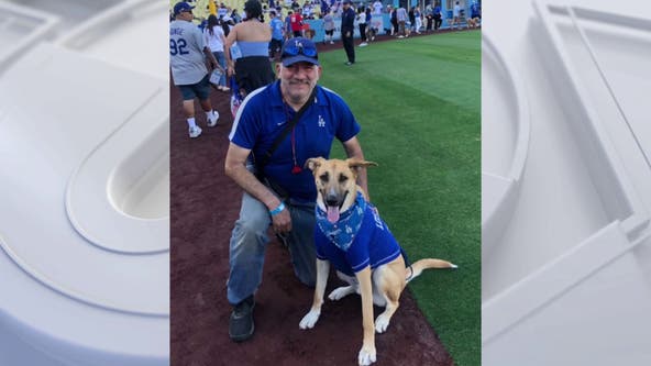 'Dodger' the dog steals the show after snagging home run ball in Spring Training