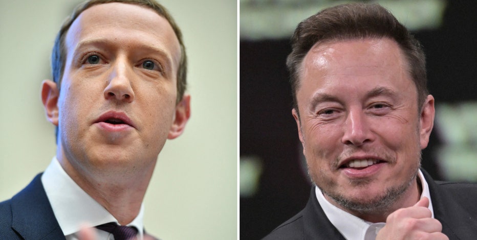Mark Zuckerberg says he'll fight Elon Musk in cage match: 'Send me location'