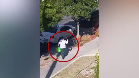 Vandal smashes nearly 30 cars with crowbar in Koreatown