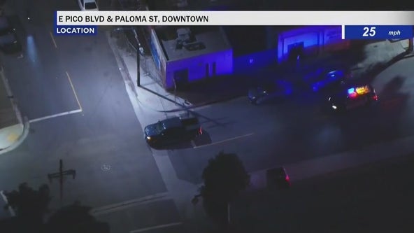 Police chase grand theft auto suspect