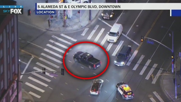 Police chase grand theft auto suspect