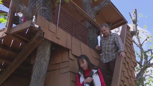 Iconic 'Boney Island' treehouse faces teardown