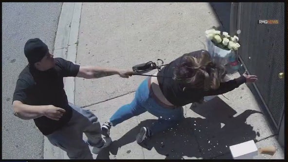 Purse-snatcher throws woman to ground in Los Angeles
