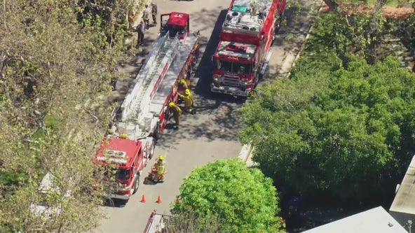 Worker dies after getting trapped under forklift in Bel Air