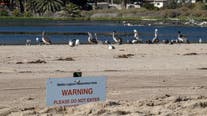 LA County issues water warning for six beaches