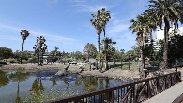 8 teens hospitalized after ingesting 'cannabis edibles' on field trip to La Brea Tar Pits