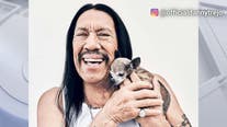 Danny Trejo announces death of beloved chihuahua Dixie