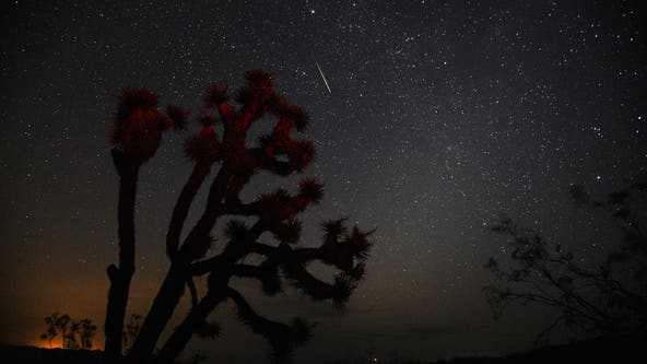 Perseid meteor shower to peak August 11-13: Joshua Tree prepares for crowds of stargazers