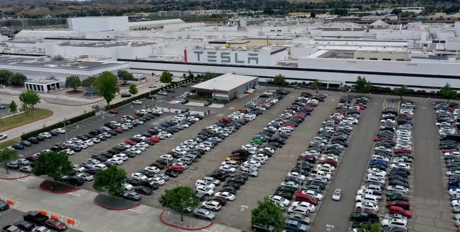 Hundreds infected with COVID at Tesla Fremont plant, report shows