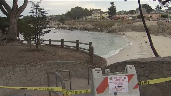 Northern California shark attack victim expected to recover