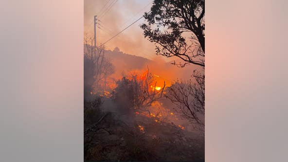 Firefighters respond to brush fire in Brisbane