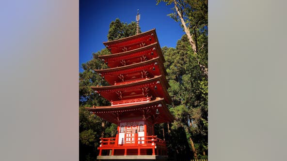San Francisco Japanese tea garden's iconic 107-year-old pagoda restored