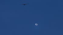 U.S. military shoots down suspected spy balloon