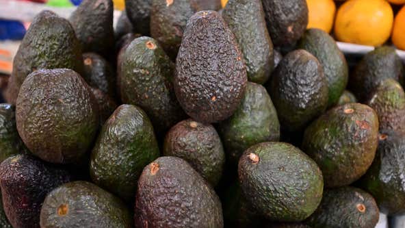 Route to Super Bowl dangerous for Mexico’s avocado haulers: 'Took our truck and tied us up'