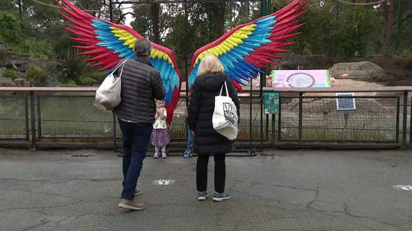 After 'chaos and closure' Oakland Zoo reopens again