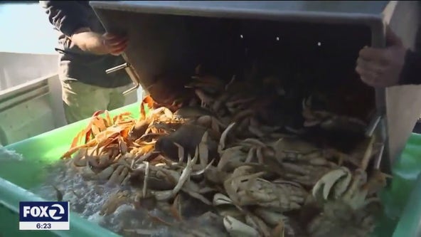 Bay Area crab and salmon fishermen hit hard