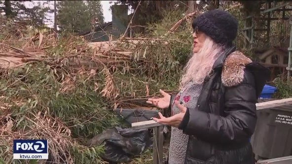 Concord residents say dangerous trees need to be trimmed but can't afford the cost
