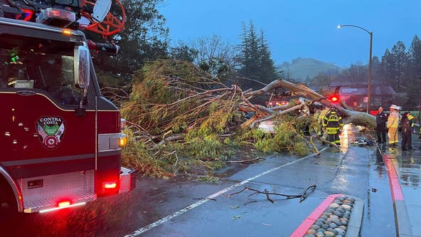Deadly Bay Area storm knocks out power for 200,000 at its peak, blows window out of SF high rise
