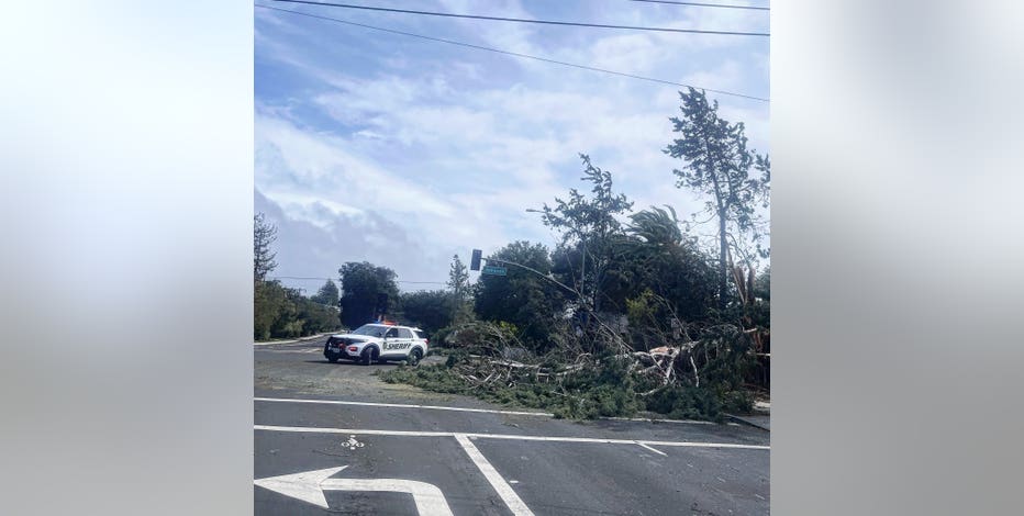 Trees and power lines 'falling left and right' wreak havoc on Bay Area roadways
