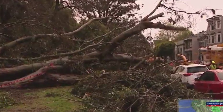 Bay Area storm watch: what to expect from the atmospheric river