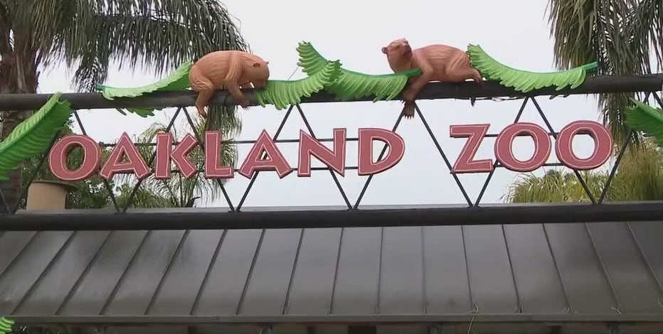 Oakland Zoo struggles with setbacks, African elephant euthanized