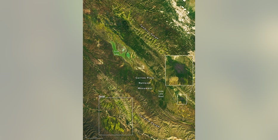 California's super bloom visible from space