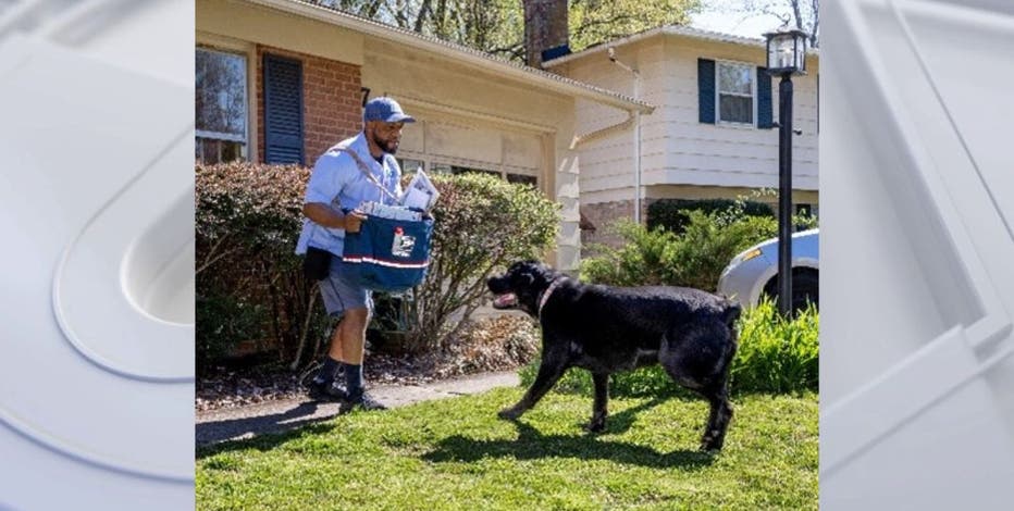 California ranks 1st in US for states with most postal worker dog bites: USPS