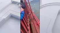 Video: officer skillfully retrieves phone from Golden Gate Bridge ledge