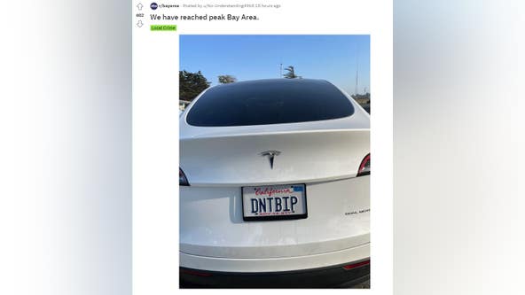 'We have reached peak Bay Area:' Tesla licence plate reads DNTBIP
