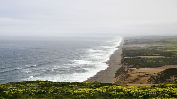 Alleged shark attack near Point Reyes National Seashore prompts large search and rescue mission