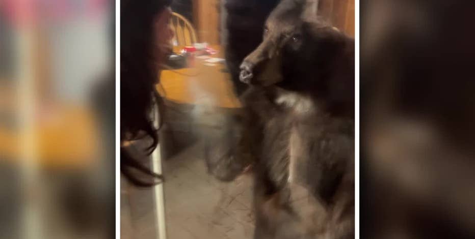 Video: roommates struggle with bear at Tahoe home