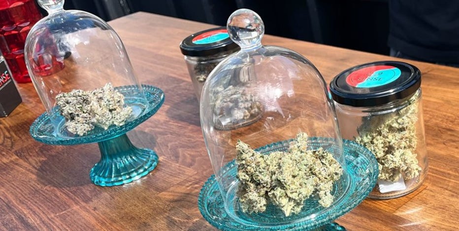First annual San Francisco Weed Week to kick off this month