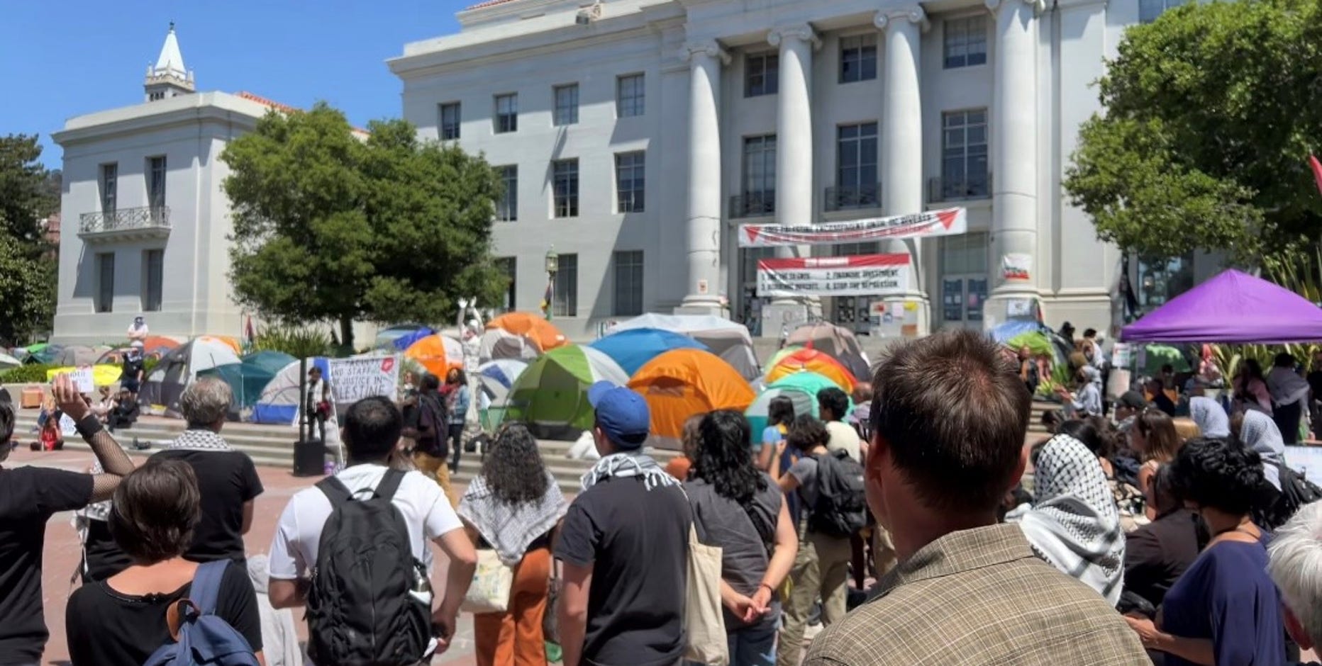 Supporters say campus protests are effective; experts differ