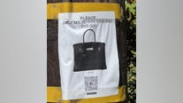 Crowdfunding for a Birkin? One woman in California gave it a try