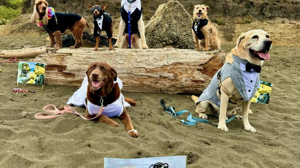 Thousands head to Pacifica to watch World Dog Surfing Championships