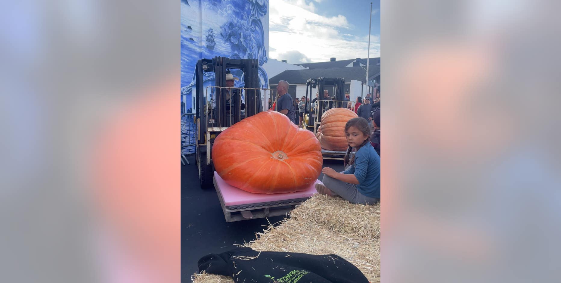Half Moon Bay's world champion pumpkin weighs in at 2,346 pounds