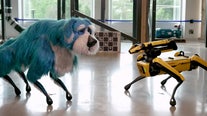 Watch: Robot dog in sparkly costume celebrates International Dance Day