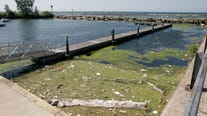 Harmful algae blooms in Great Lakes could increase this summer, NOAA warns