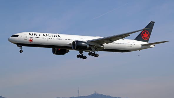 Air Canada flight canceled after flight attendant meltdown caught on video
