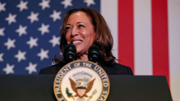 These top Democrats are endorsing Harris in presidential race