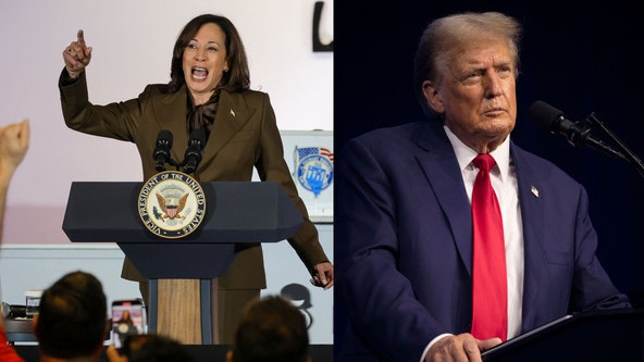 Trump and Harris enter 99-day sprint to decide November election
