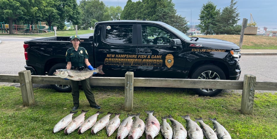 Fisherman arrested after catching 14 oversized fish: 'Caught red-handed'