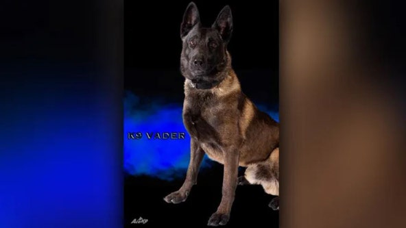 Missouri police dog dies in hot patrol car after air conditioner malfunctions