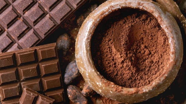 Lead found in nearly half of dark chocolate, other cocoa products, study finds