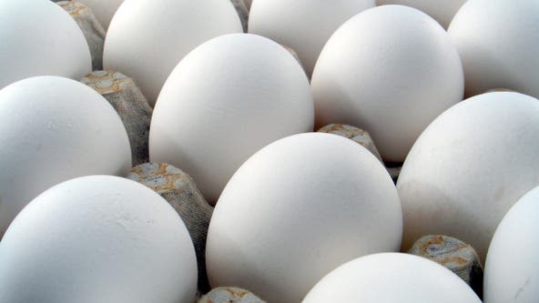 Eggs recalled after salmonella outbreak in multiple states