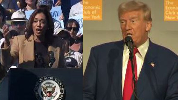 Pollster Nate Silver predicts Trump poised to win Electoral College amid 'mediocre' Harris polling