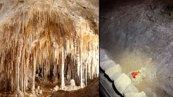 National Park Service blames bag of Cheetos for disrupting entire Carlsbad Caverns ecosystem