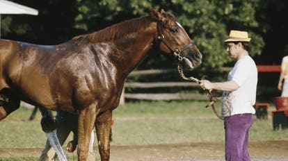 Every horse in Kentucky Derby 2025 descended from legendary Secretariat