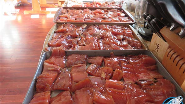 Fishing Report of the Week: Pink Salmon in Snohomish River